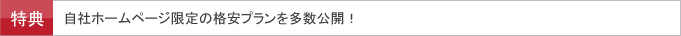 自社ホームページ限定の格安プランを多数公開中！